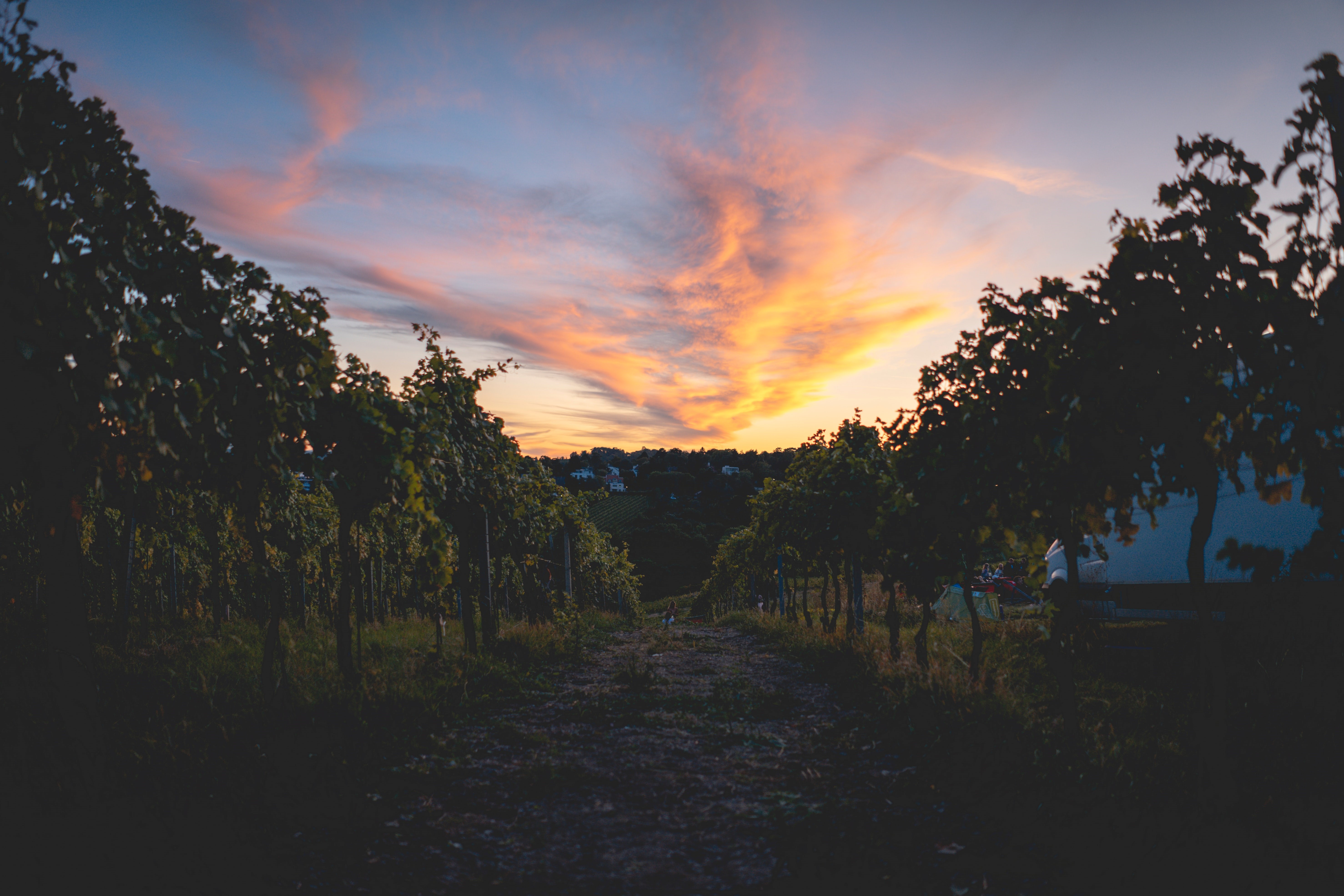 Fotocredit:Simon Tartarotti/unsplash