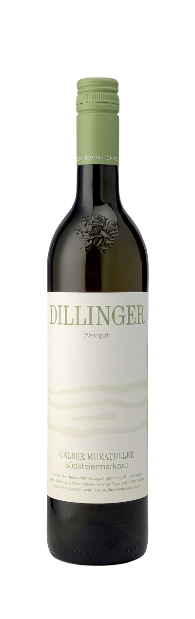 Gelber-Muskateller-2025-Dillinger-WWG26.jpg