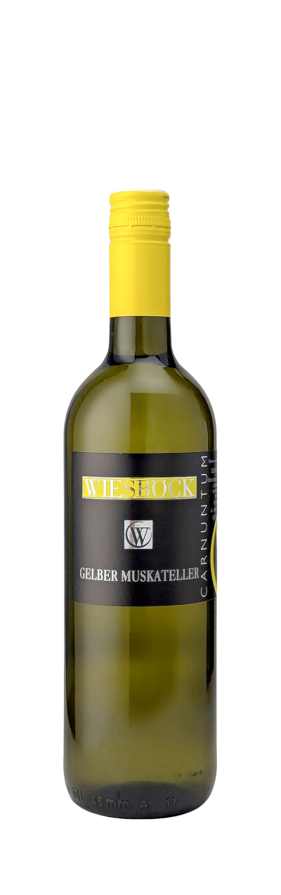 Gelber-Muskateller-2025-Wiesboeck-Josef-WWG26.jpg