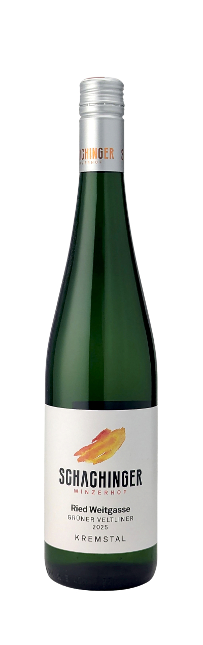 Gruener-Veltliner-Weitgasse-2025-Schachinger-WWG26.jpg