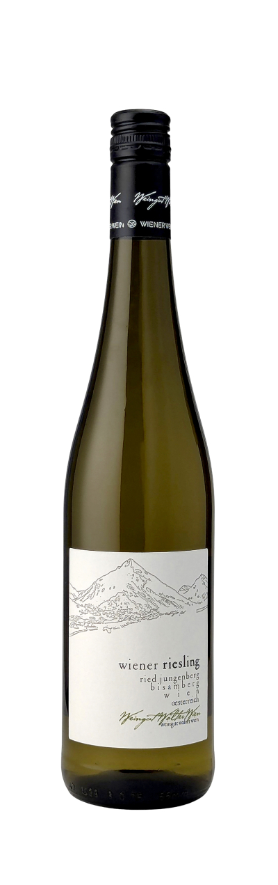 Riesling-Jungenberg-Bisamberg-2025-Walter-Wien-WWG26.jpg