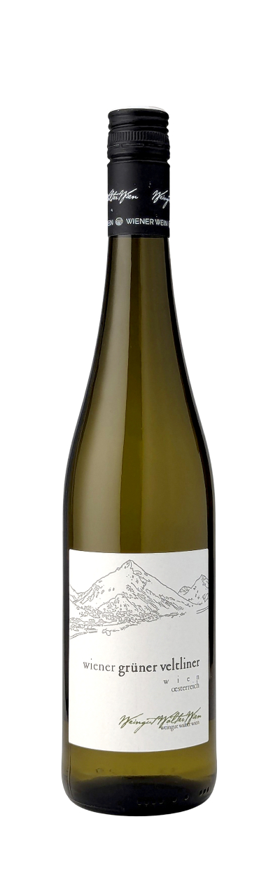 Wiener-Gruener-Veltliner-2025-Walter-Wien-WWG26.jpg