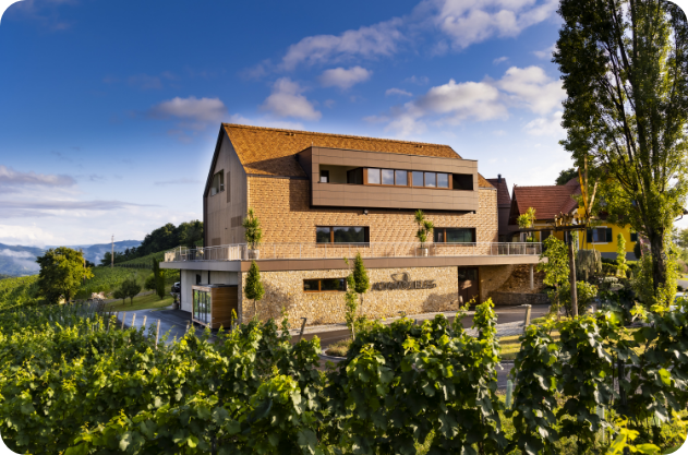 © Weingut Adam-Lieleg