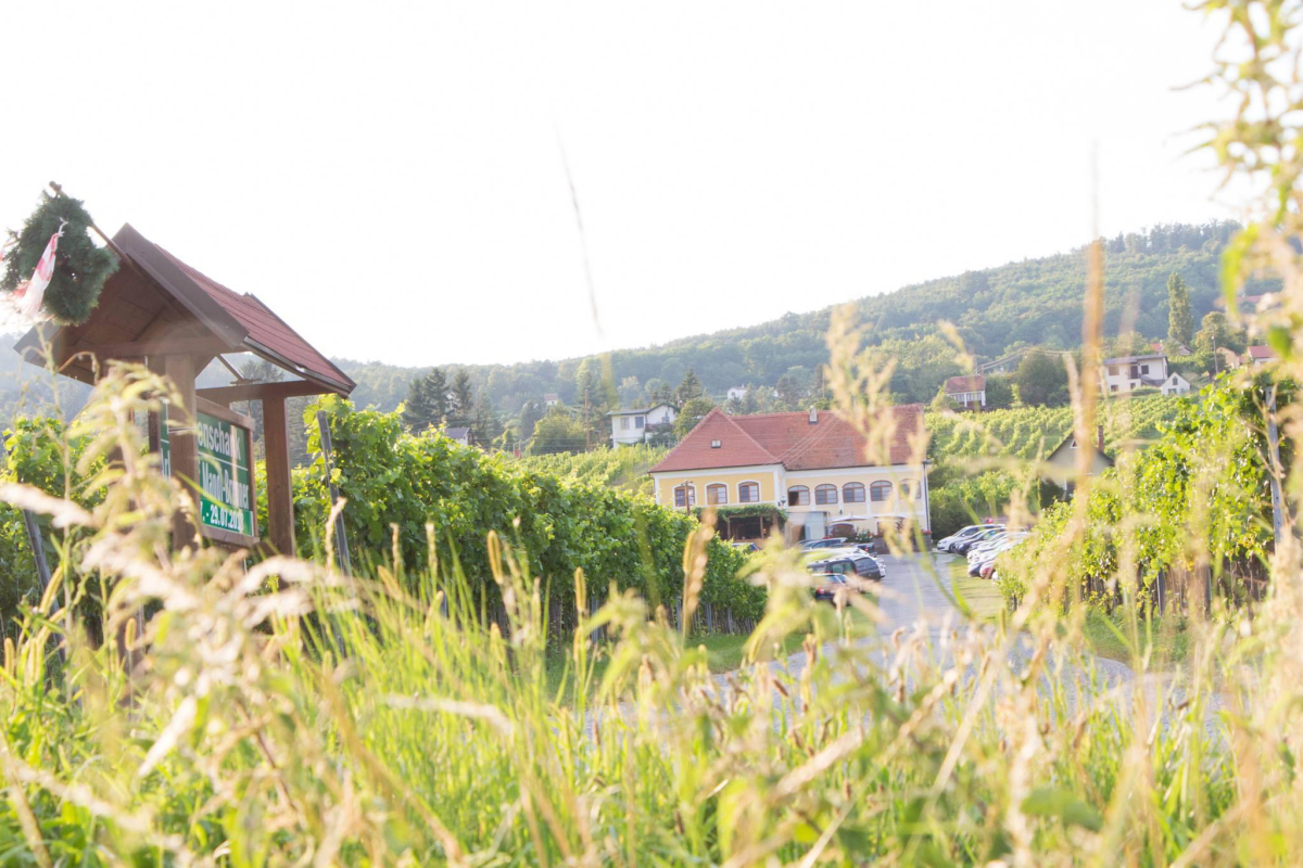 © Weingut Arkadenhof Mandl-Brunner