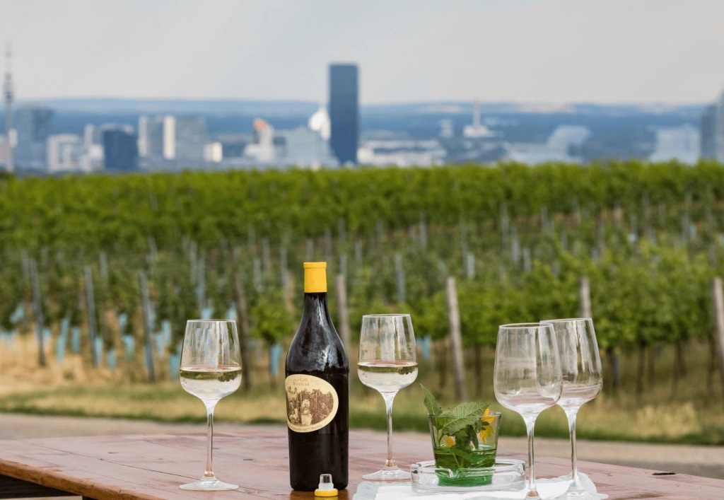 © Weingut Wieninger