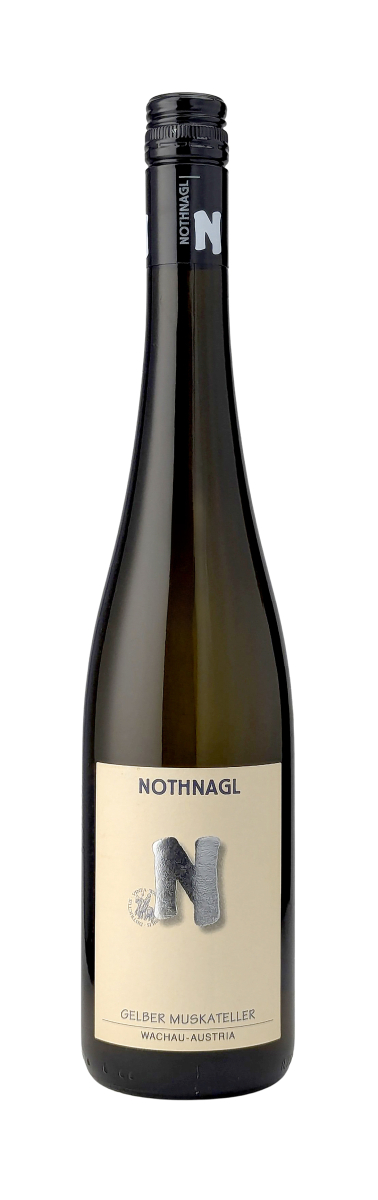 Gelber-Muskateller-Spitz-2025-Nothnagl-WWG26.jpg
