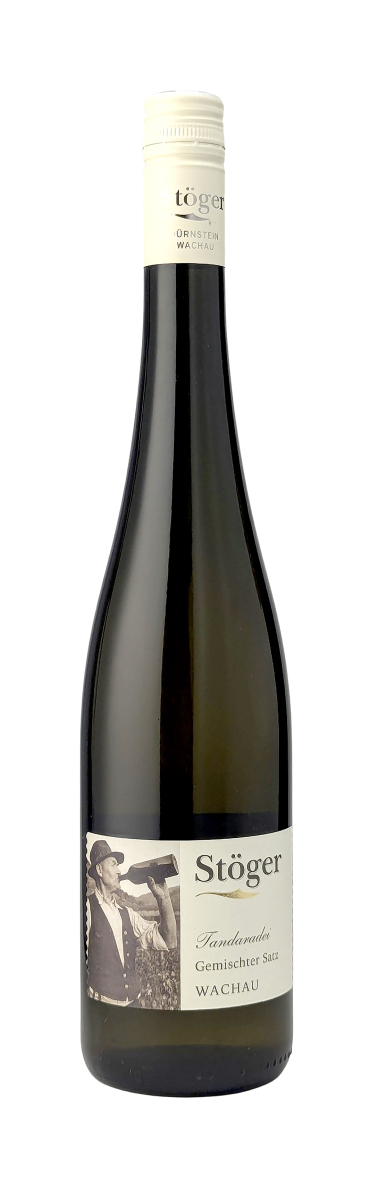 Gemischter-Satz-Tandaradei-2025-Stoeger-WWG26.jpg
